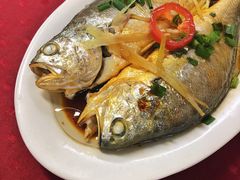 清蒸黄花鱼-蛇口康乐快餐鱼仔档(翠苑小区店)