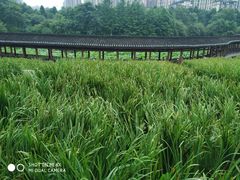 -龙头寺公园