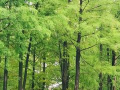 -晓港公园