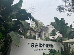 -云里小坐·小院里·团建·宴请·下午茶(三圣乡店)