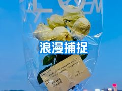 -星光大道