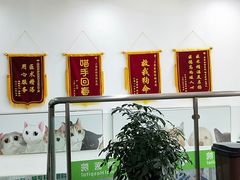 -爱侣宠医·鹦鹉专科·小型哺乳类·异宠专科(灵石路店)