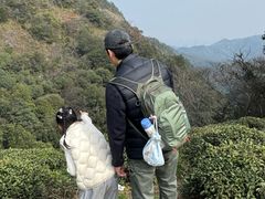 -十里琅珰