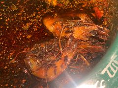 -耍盆友·重庆江湖菜(百子湾店)