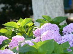 -常州古运河南大街文化旅游区-人民公园