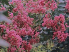 -广州珠江公园