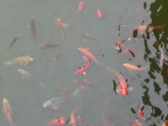 -南昌动物园