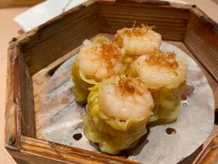 -宝园酒家(美林M·LIVE天地东座店)