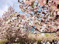 -元大都城垣遗址公园