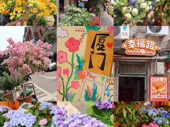 -溪岸路花鸟市场