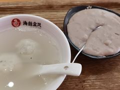 -海丝金凤(金鱼店)