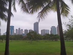-万绿园