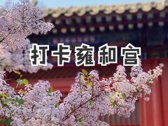 -雍和宫