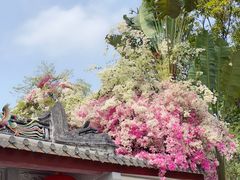 -深圳国际园林花卉博览园