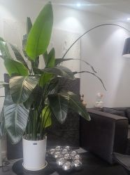 -春田皮肤管理中心品牌旗舰店