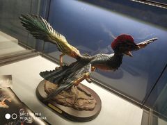 -湖南省地质博物馆