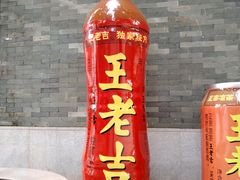 -广州神农草堂中医药博物馆