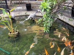 -鹅公村·国家非遗传承(荔湾店)