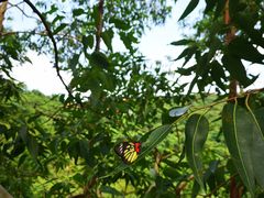 -狂鳌小龙虾(黄江店)