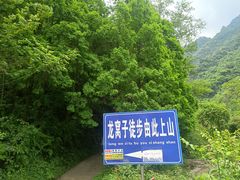 -龙窝子