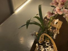 -施奈儿.洗头頭療.按摩SPA.采耳(上梅林店)