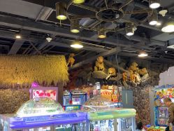 -卡通尼·Safari非洲探索乐园·生日会(金桥国际商业广场店)