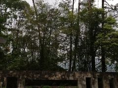 -广州市流溪河国家森林公园