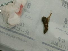 梗阻毛团-瑞派·关忠动物医院·异宠专科·犬猫肿瘤·皮肤专科(望京店)