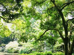 -中国茶叶博物馆(双峰馆区)