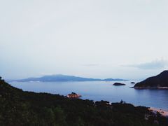 -杨梅坑