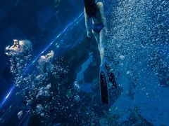 -成都浩海立方海洋公园