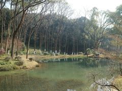 -杭州植物园