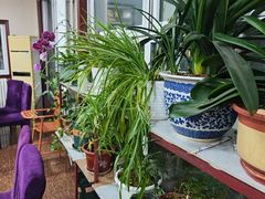-北京龙庆四季香农家饭庄·灶台鱼·碳烤虹鳟鱼(龙庆峡店)