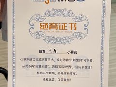 -纳吉亚猫专科动物医院(康都外科中心)