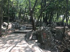 -陶祖圣境风景区