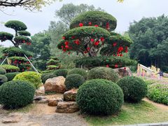 -南宁南湖公园