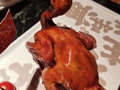-大鸽饭(北京路店)