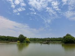 -大湾区中央湿地公园