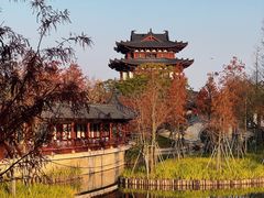 -江心屿景区