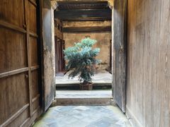 -清漾毛氏文化村