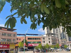 -上南瓦煲鸡·清远鸡·老字号(总店)