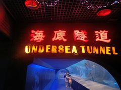 -太平洋海底世界