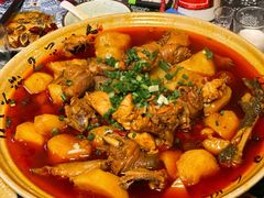 -青城甲(青城山店)