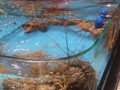 -阿伟海鲜楼·福建菜(延寿店)