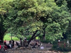 -成都市活水公园