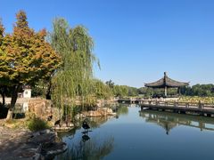 -尚湖风景区