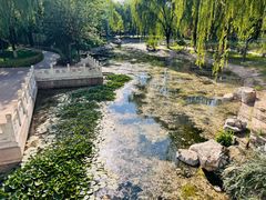 -丰台科技园生态主题公园