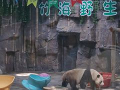 -栾川竹海野生动物园