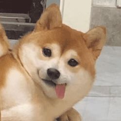 -cocokarafine可开嘉来