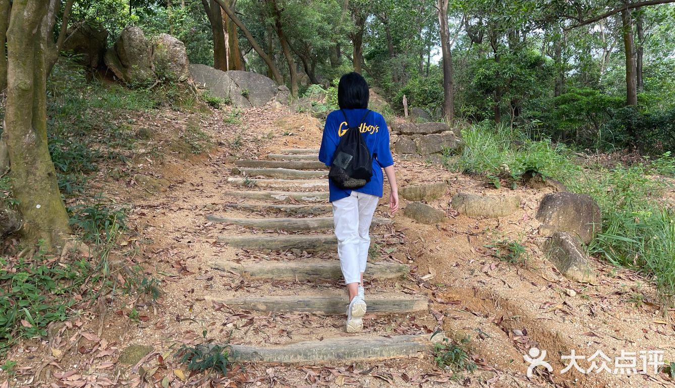 梅林山郊野径｜无楼梯爬山